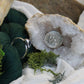 Conch Shell Ring Sterling Silver